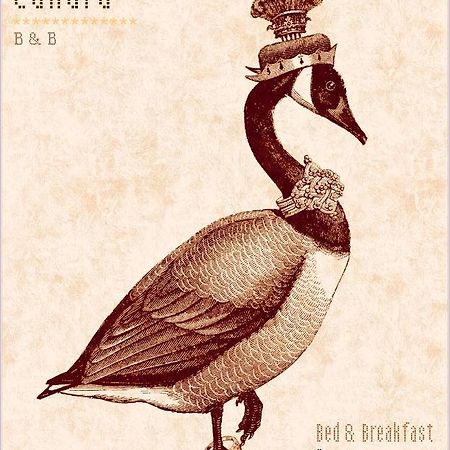 Madame Canard Baveno Zewnętrze zdjęcie